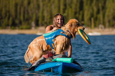Dog wearing life jacket riding a paddle board with owner