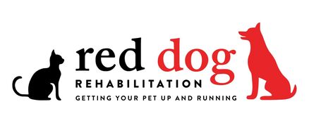 red dog rehabilitation