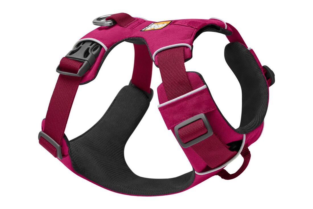 Front range harness - Hibiscus Pink