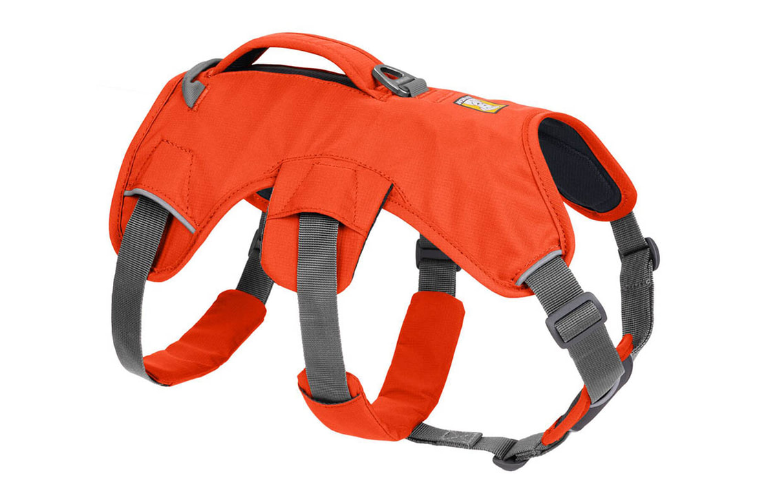Webmaster harness - red